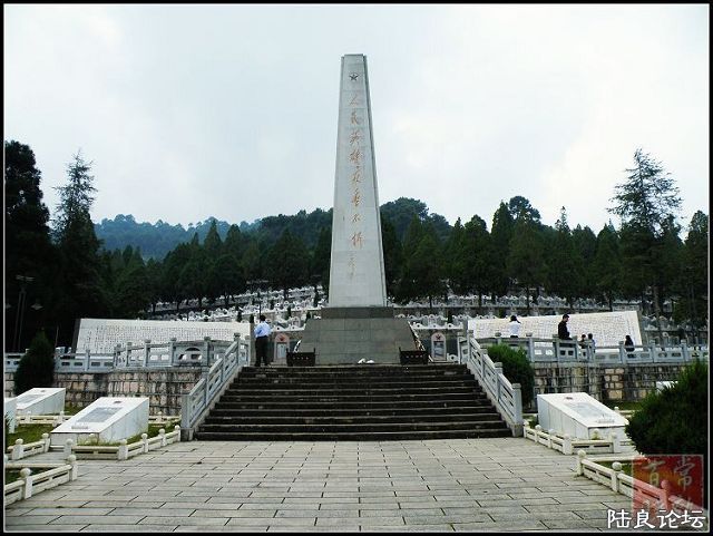 2009326202012.jpg