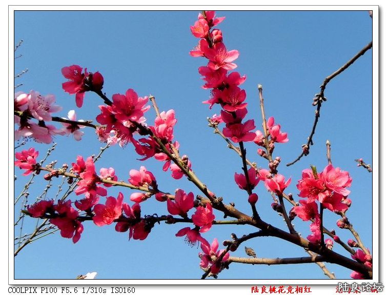 DSCN1705.jpg