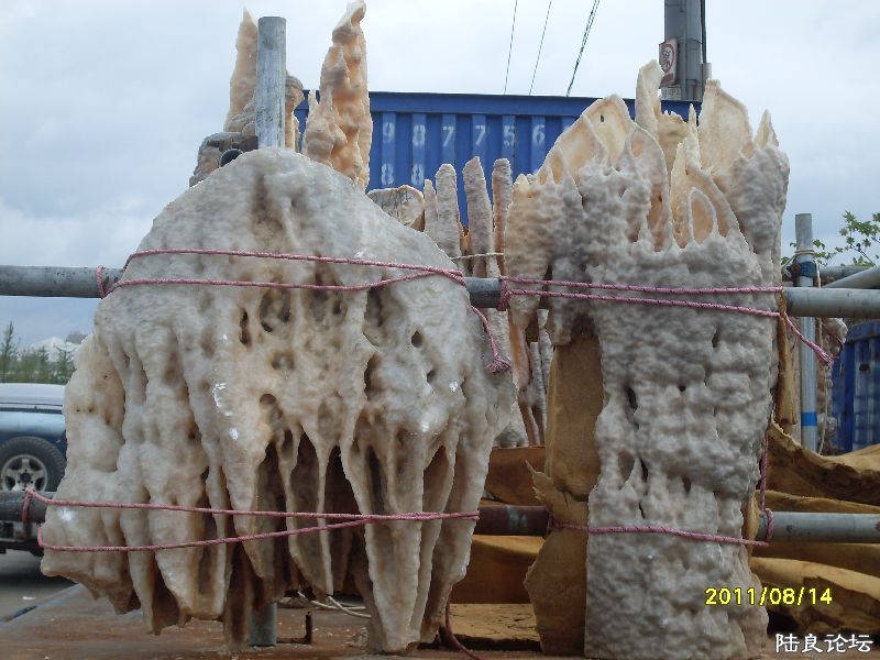 SDC10001.JPG