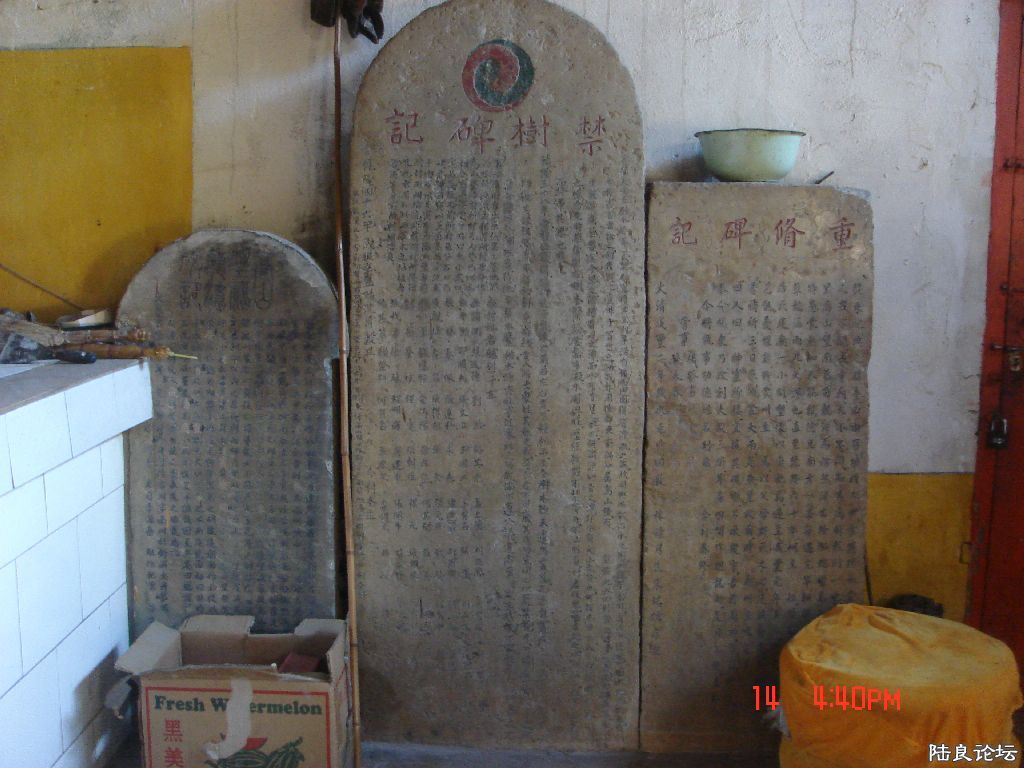 DSC05653.JPG
