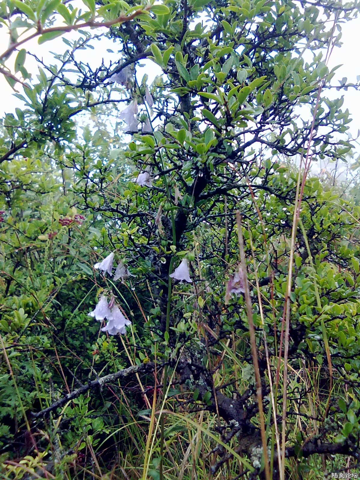 20110921112.jpg