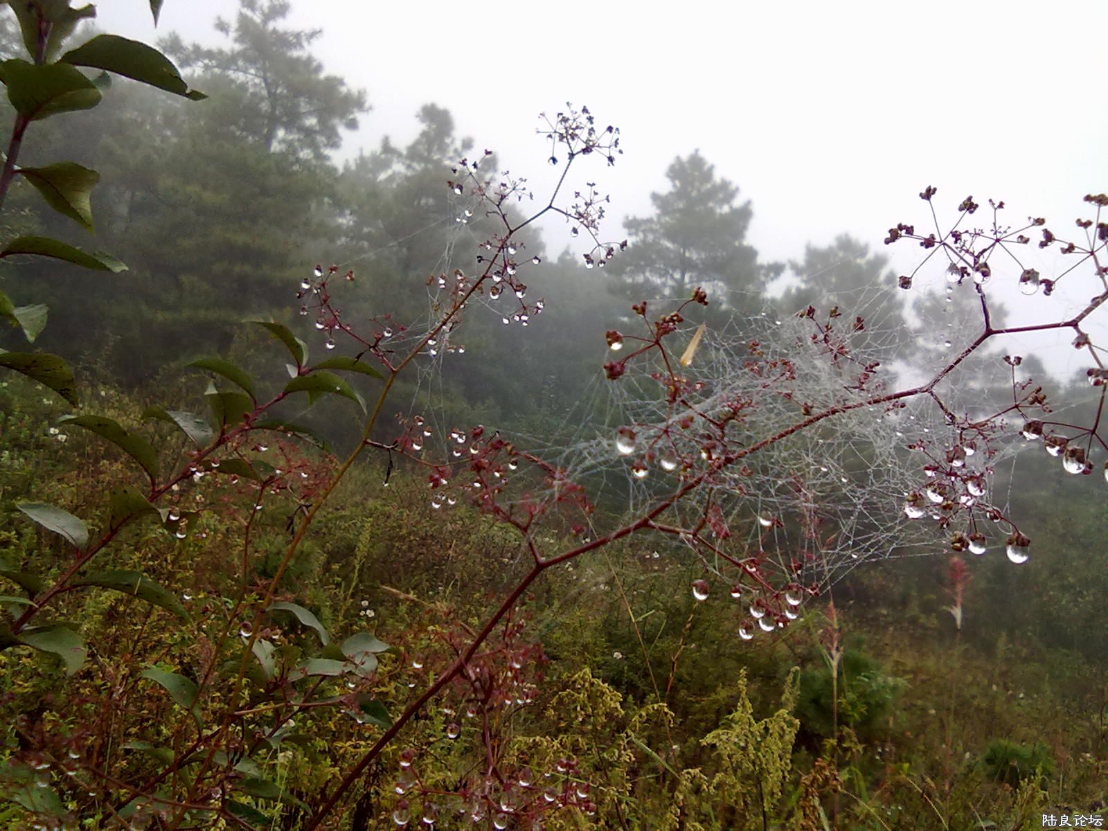 20110921125.jpg