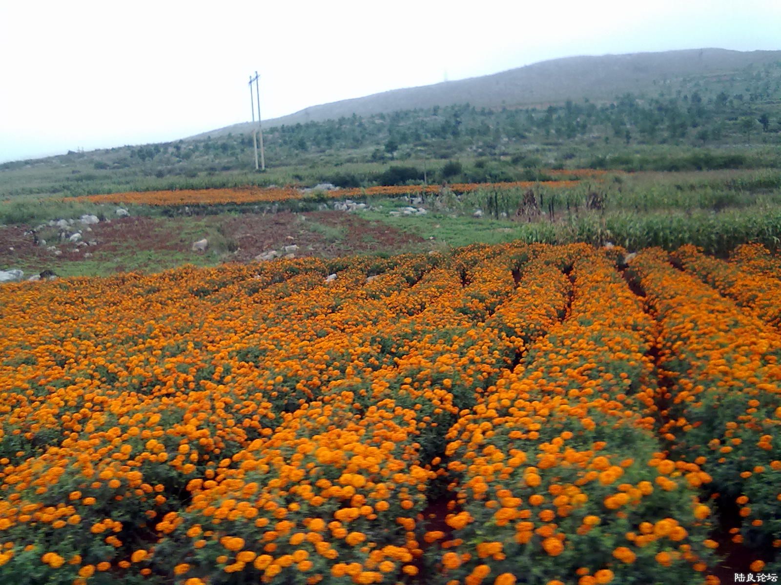 20110921134.jpg