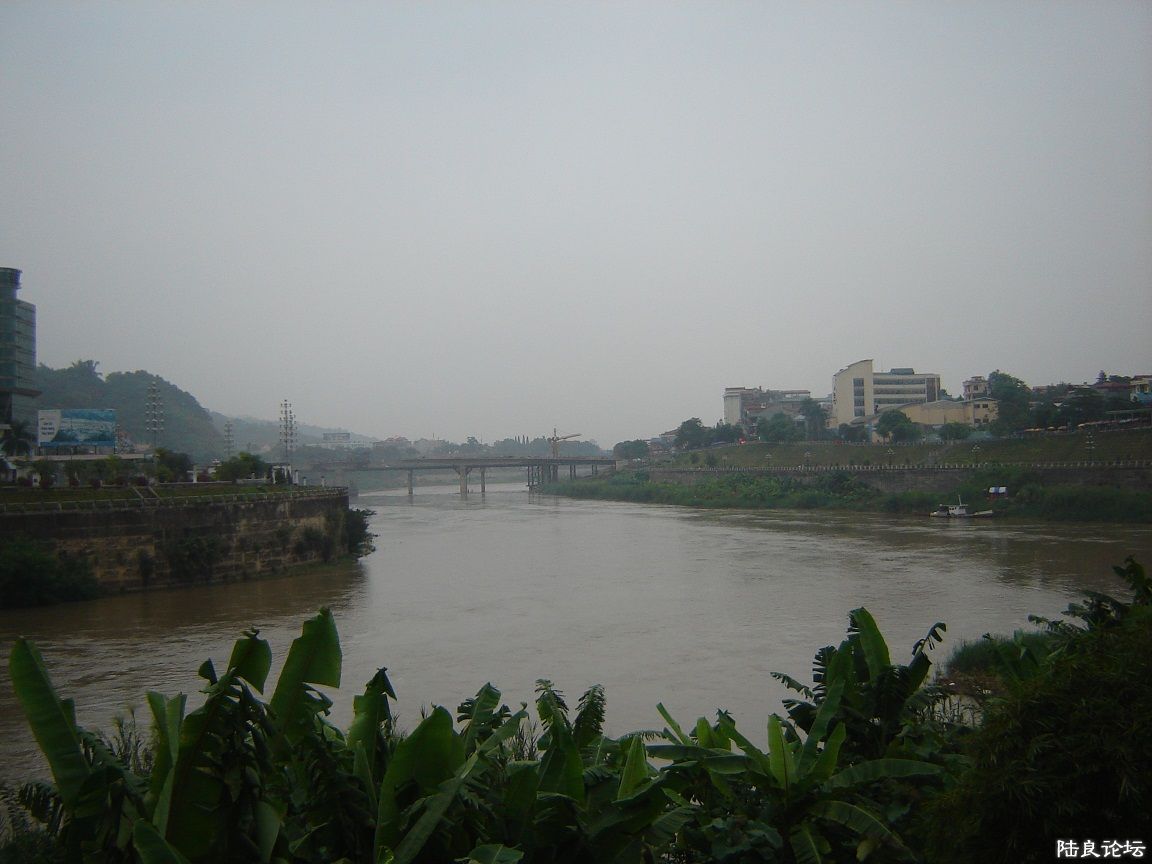 DSC00082.JPG