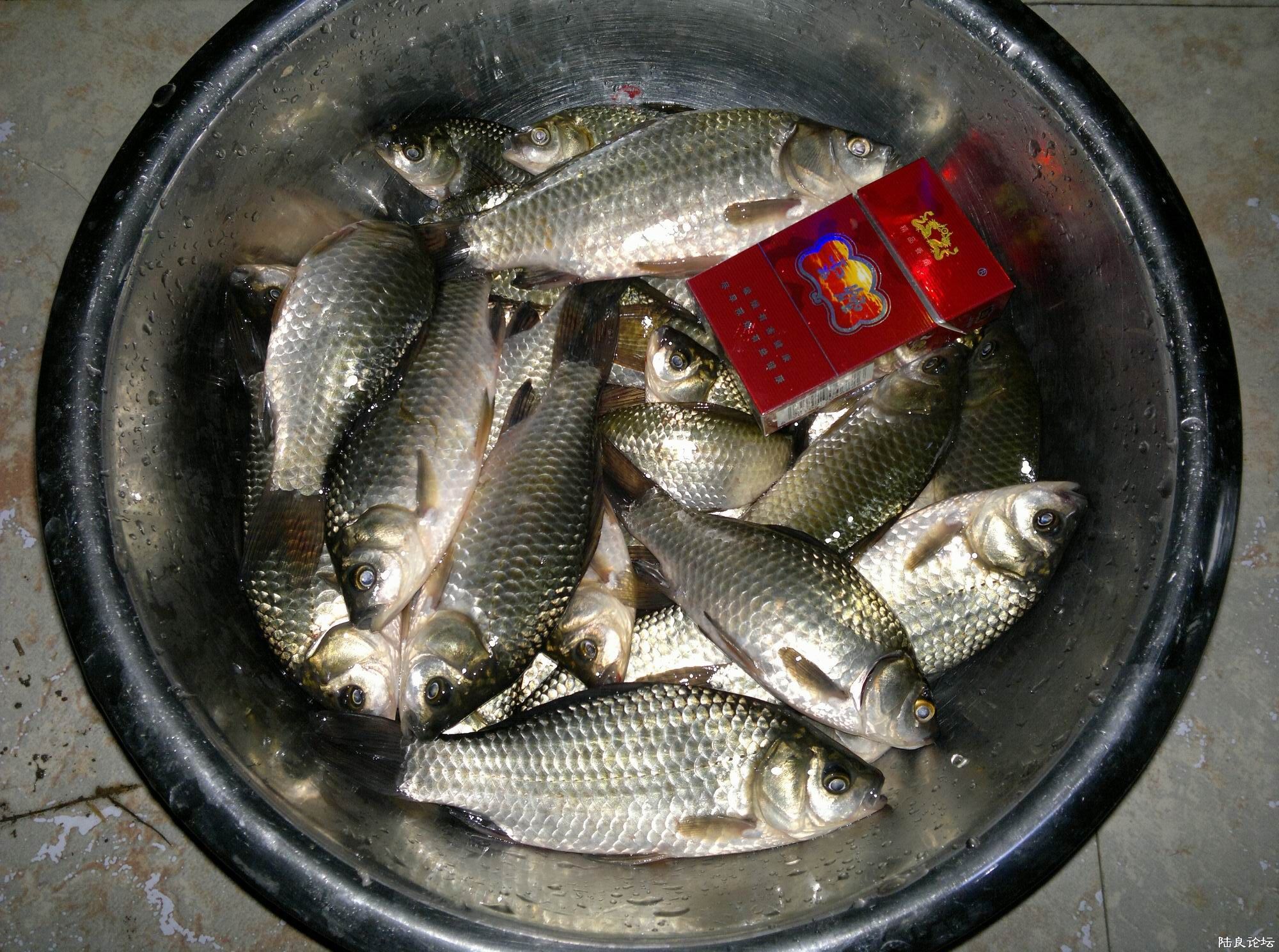 201110061861.jpg