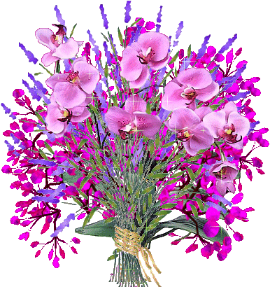 4cb17d59x971d40611332&690.gif
