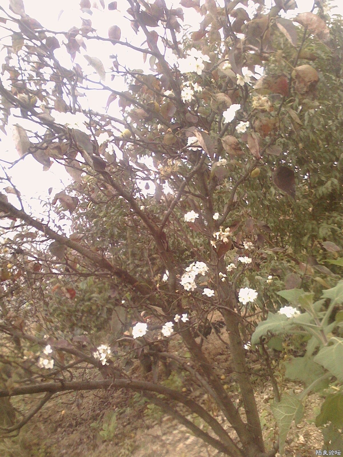 IMG1009091600.jpg