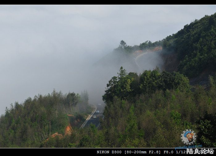 DSC_0919.jpg