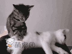 924149e4jw1dolhwaths3g.gif