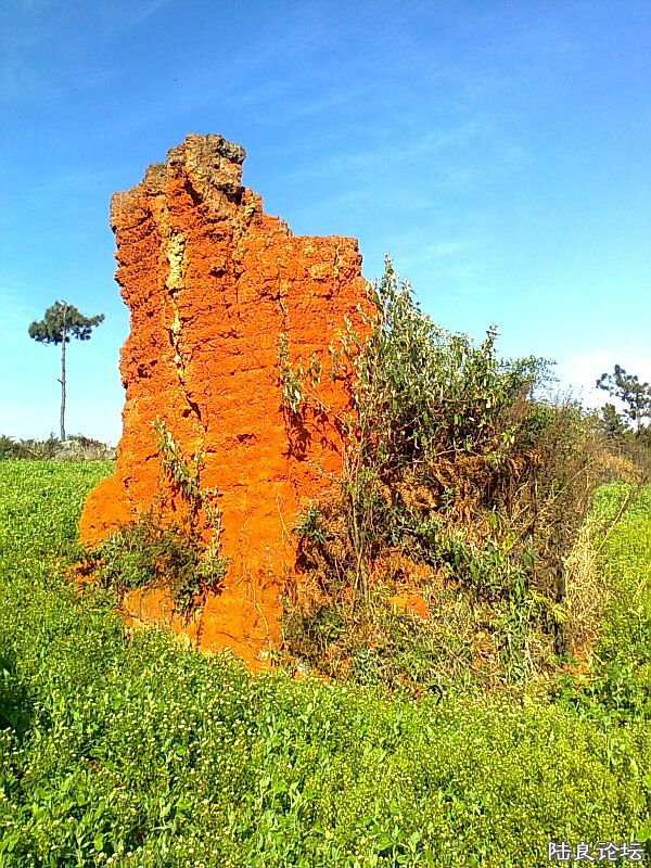 Ƭ0191.jpg