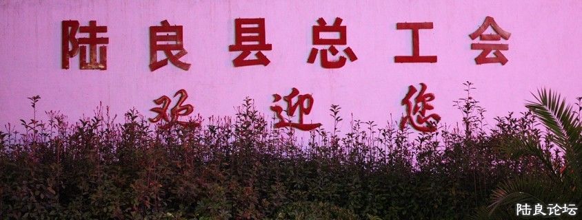 元  (68).jpg
