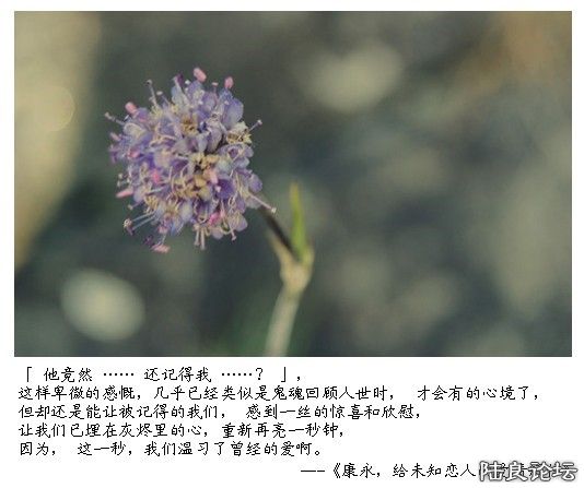 6687edcff7edc5b452664f85.jpg