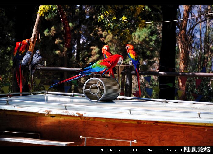 DSC_0078.jpg