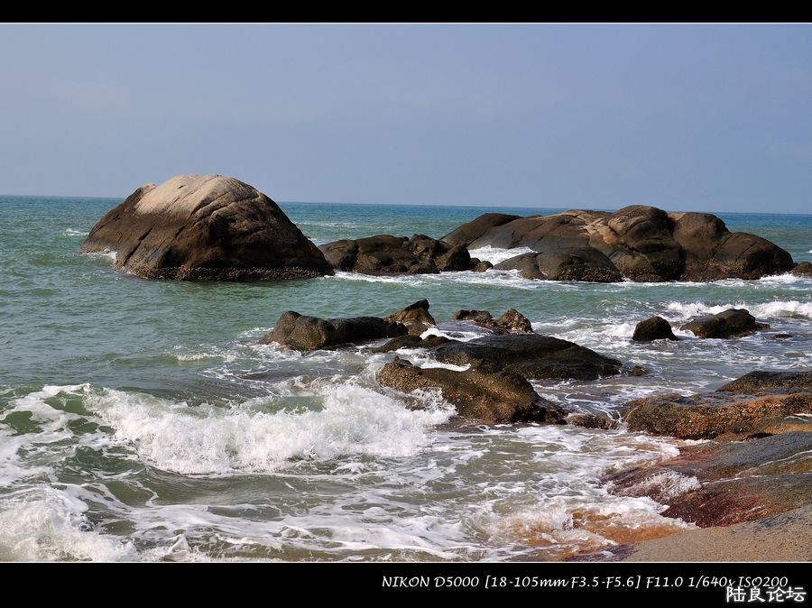 DSC_0130.jpg