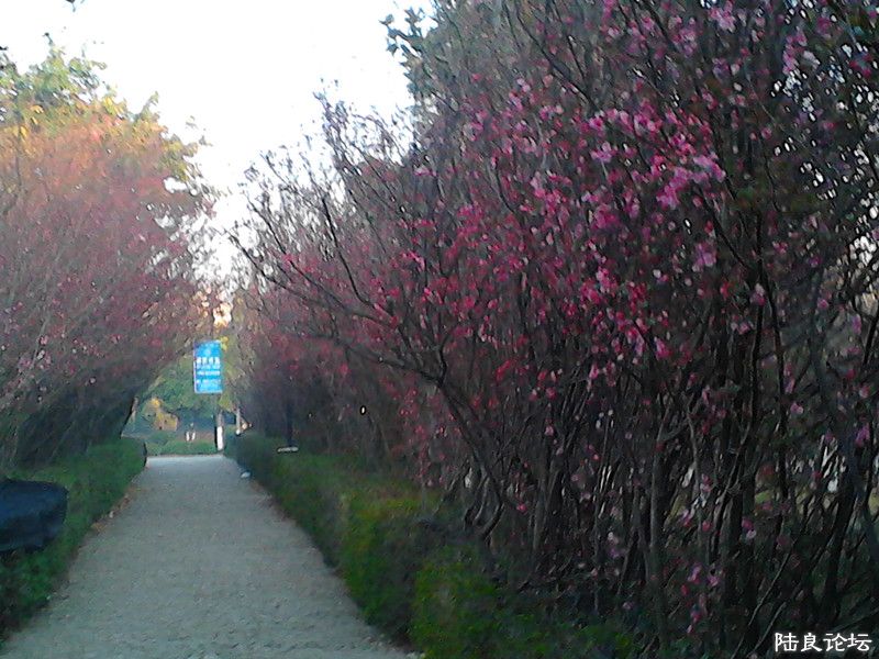 _20120213_081411_.jpg