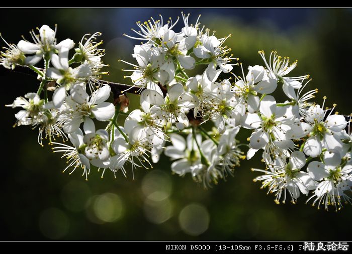 DSC_0048.jpg