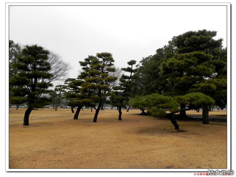 DSCN4026.jpg