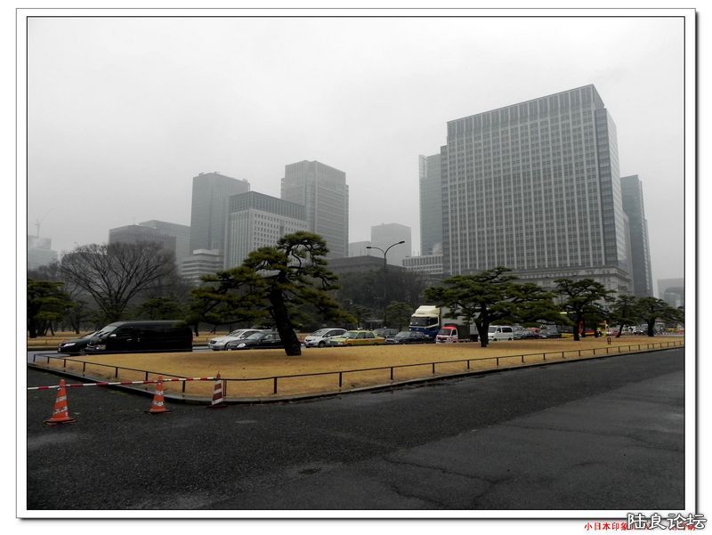 DSCN4028.jpg