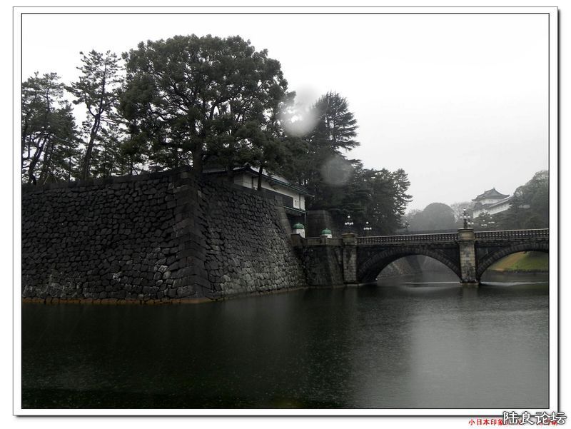 DSCN4035.jpg
