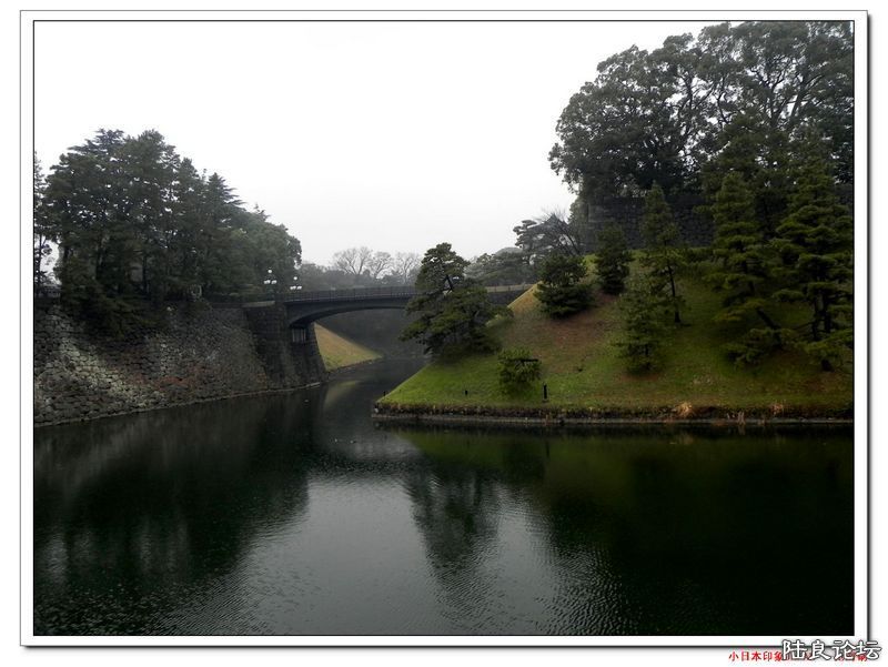 DSCN4043.jpg