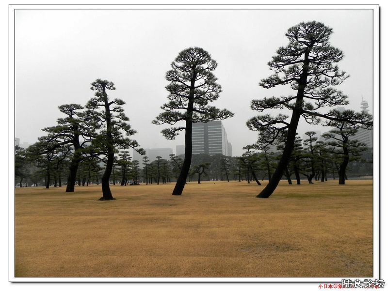 DSCN4047.jpg