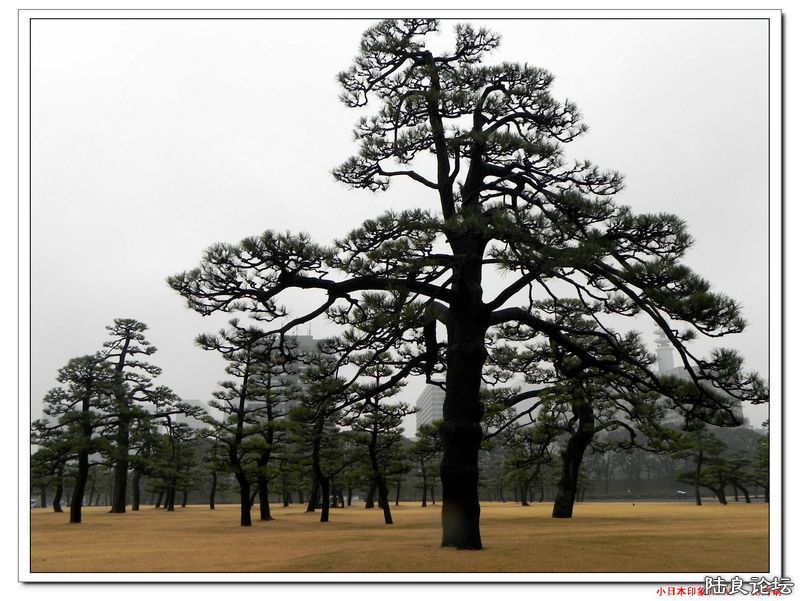 DSCN4048.jpg