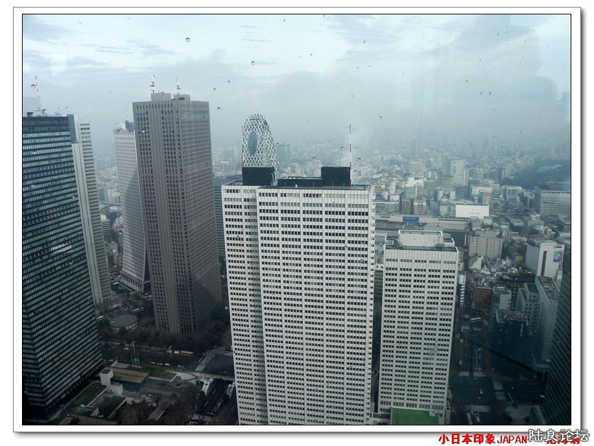 DSCN4081.jpg