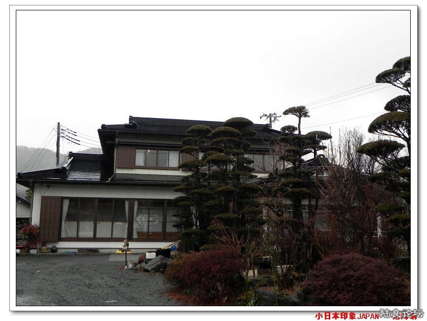 DSCN4439.jpg