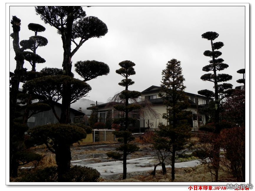 DSCN4442.jpg