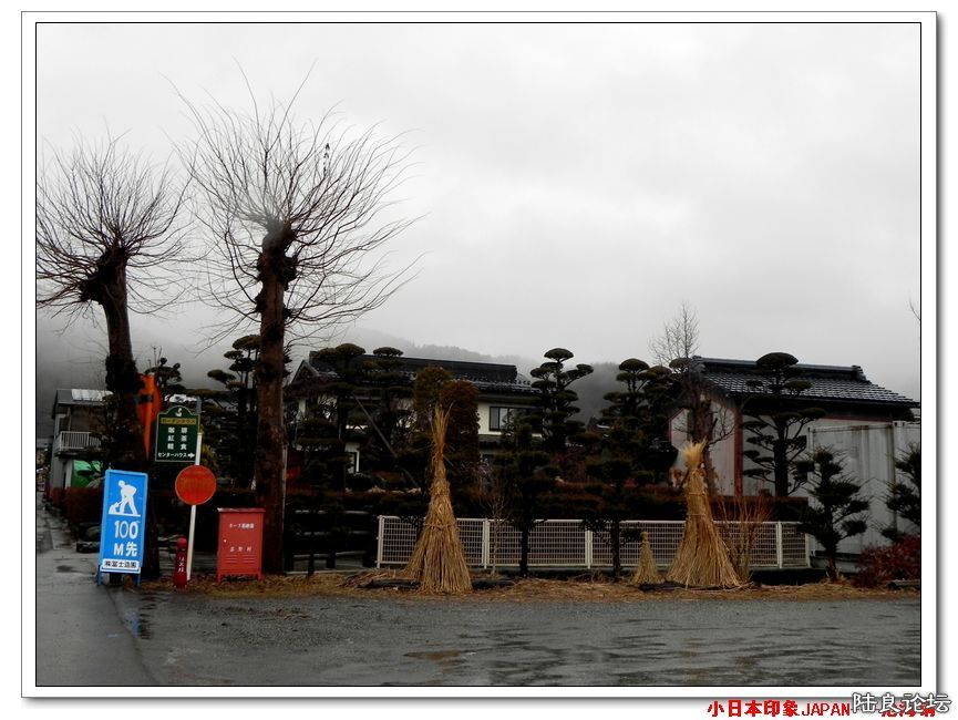 DSCN4446.jpg
