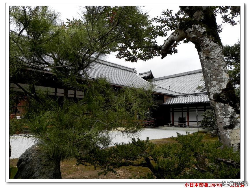 DSCN4544.jpg
