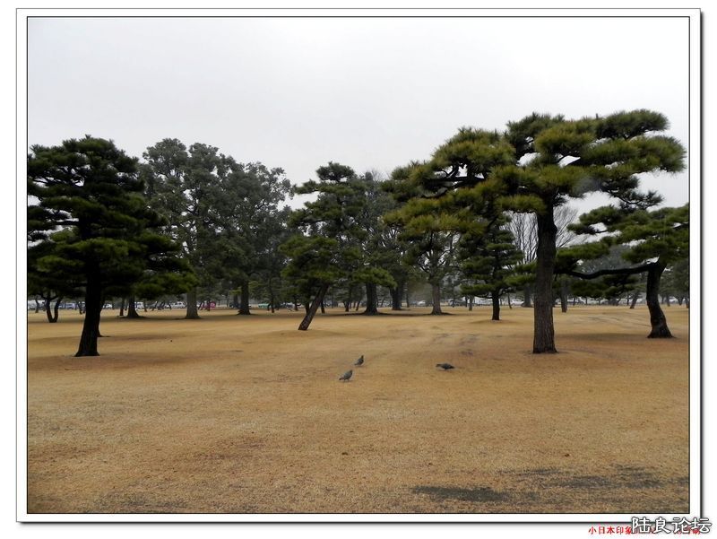 DSCN4590.jpg