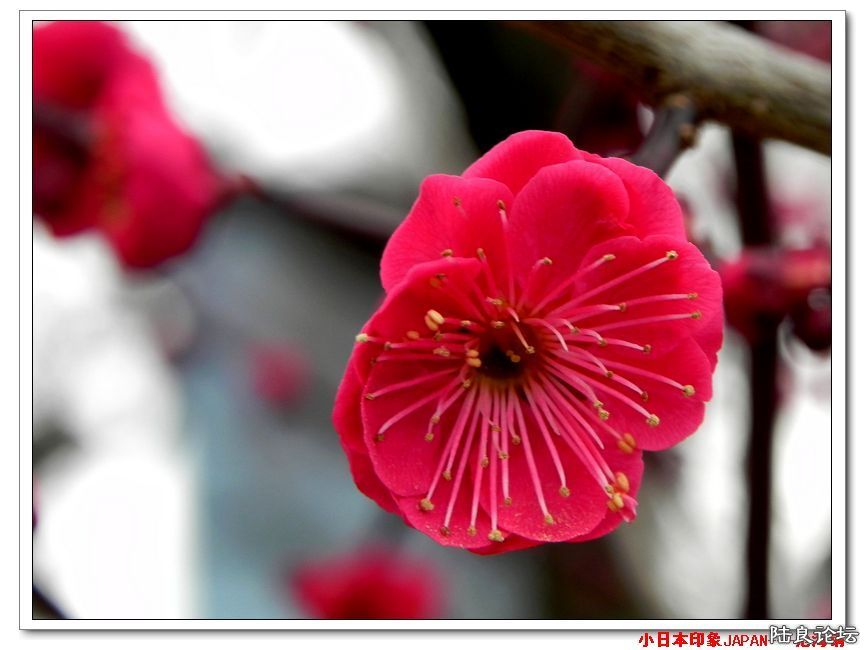 DSCN4676.jpg