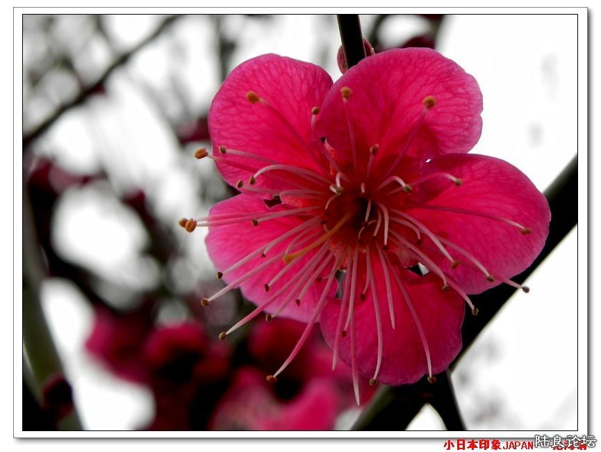 DSCN4679.jpg