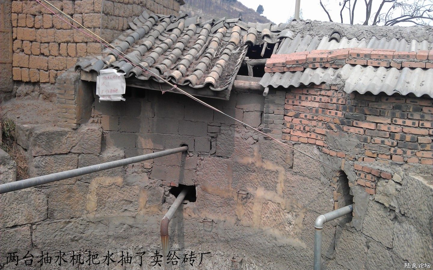 imag0005_conew3.jpg imag0005_conew3.jpg