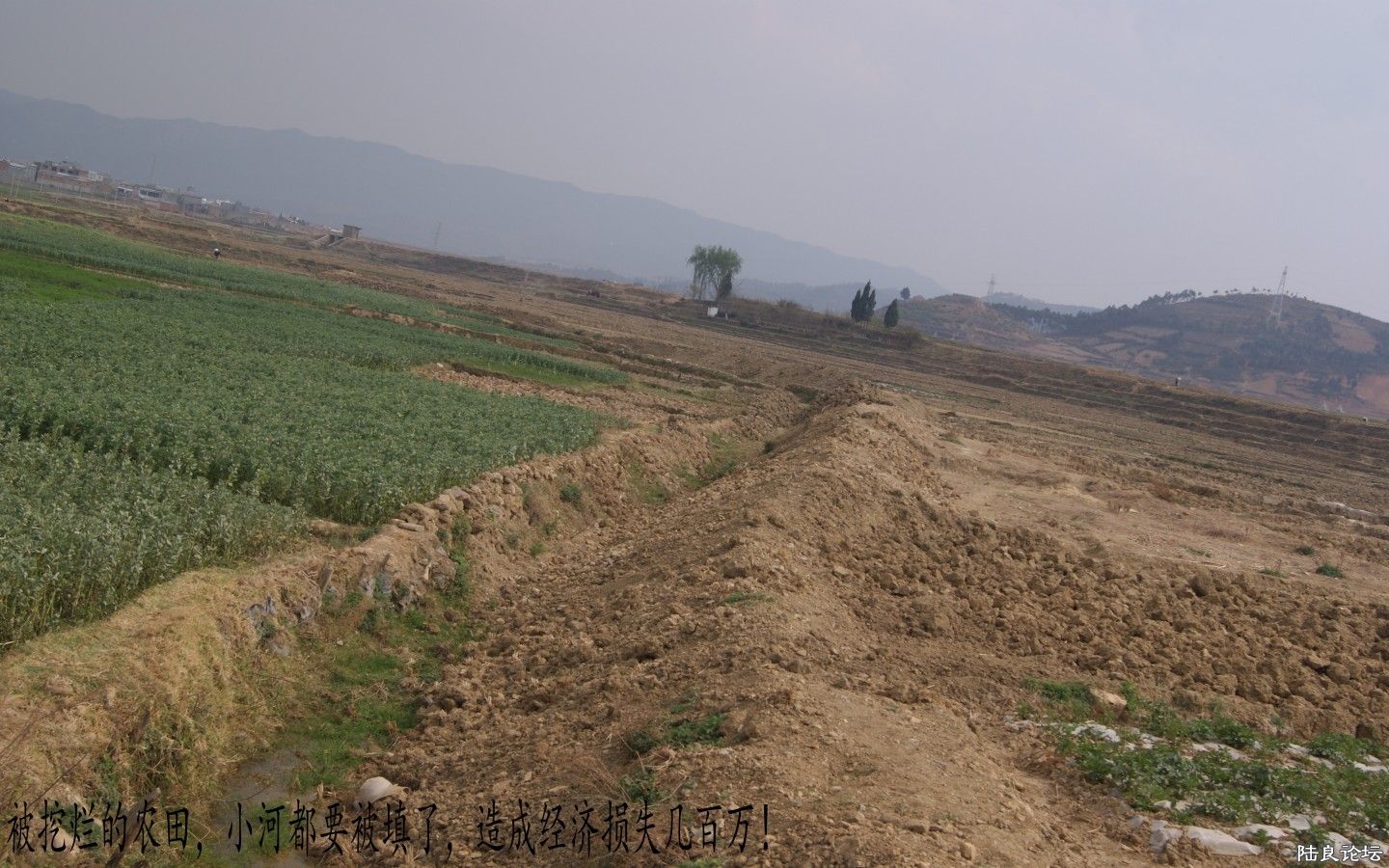 dsc02027_conew4.jpg dsc02027_conew4.jpg