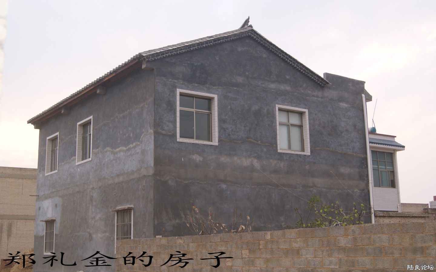 dsc02028_conew3.jpg dsc02028_conew3.jpg