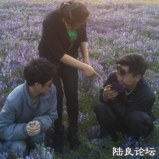 δ.jpg