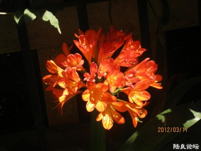4cb17d59xbb96cdf2fdaa&690.jpg