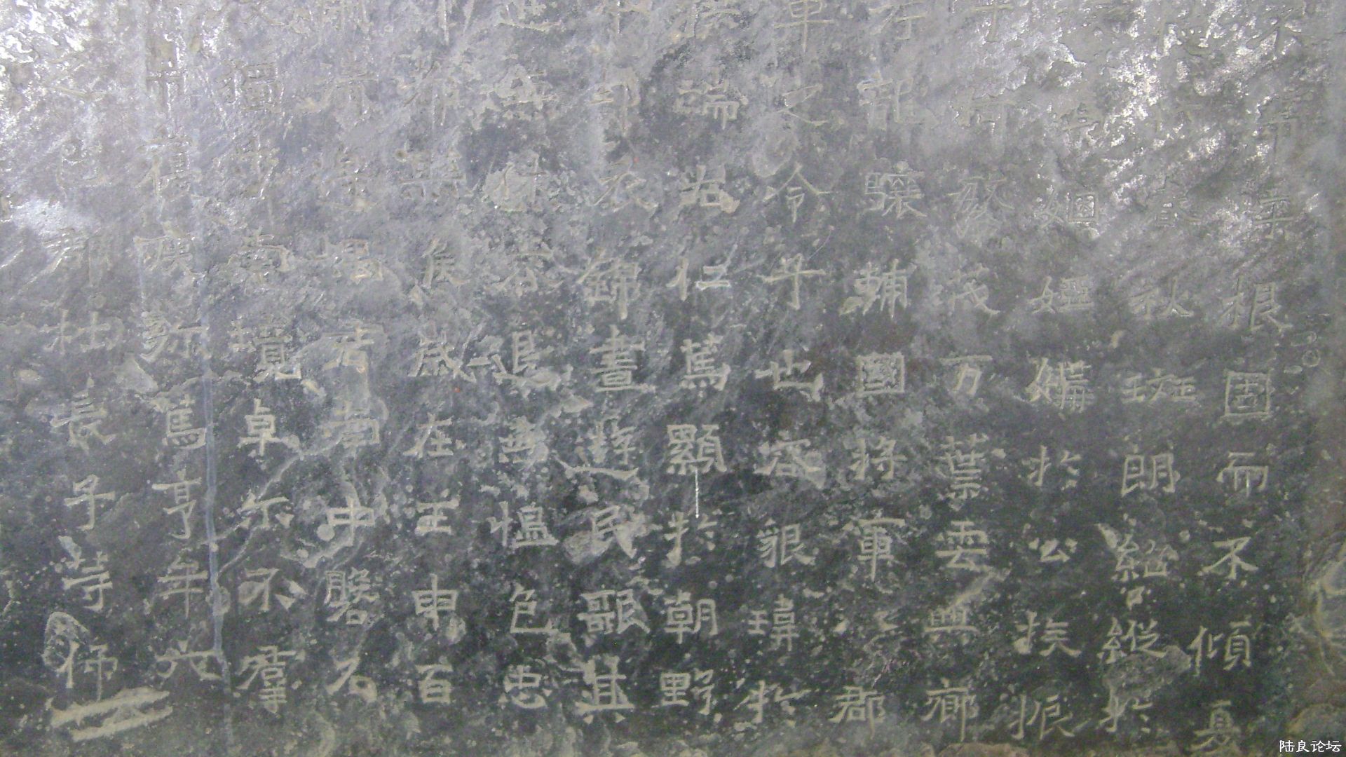DSC06298.JPG