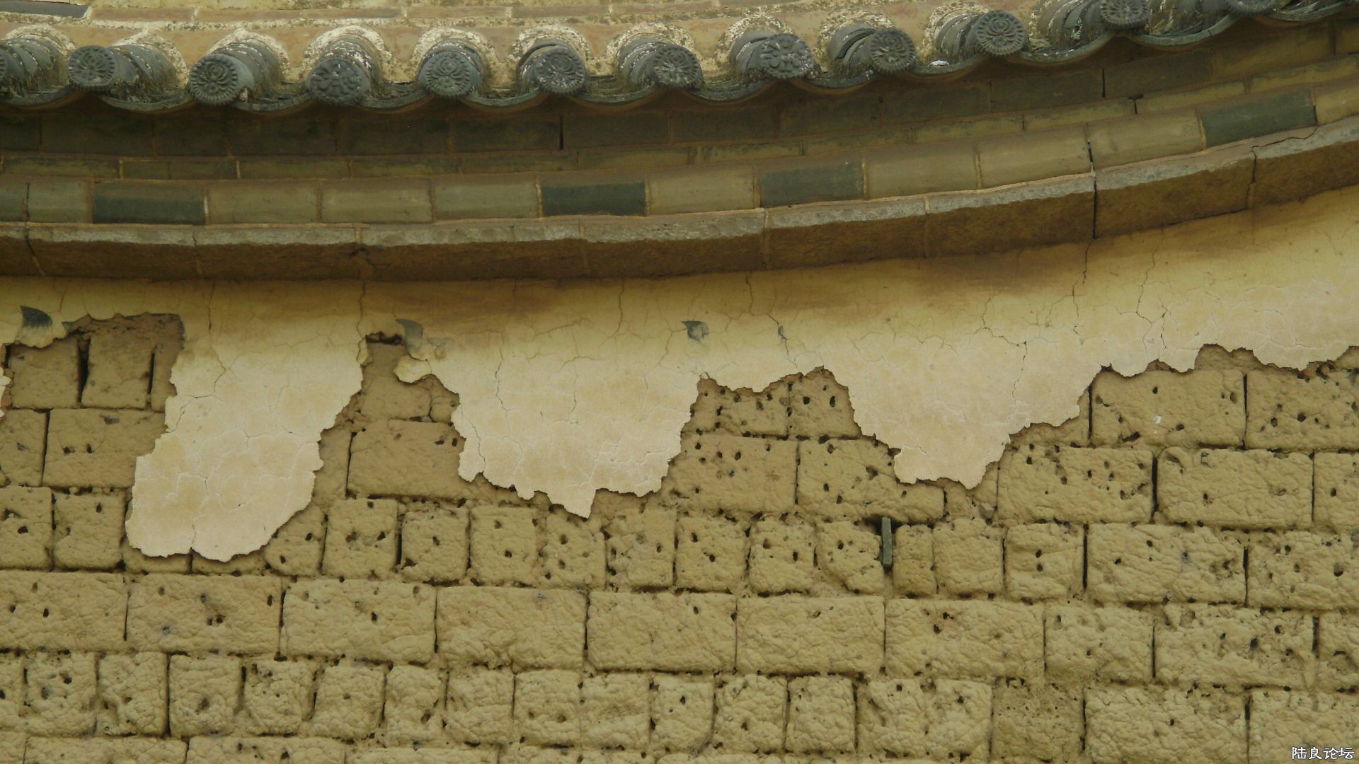 DSC06312.JPG