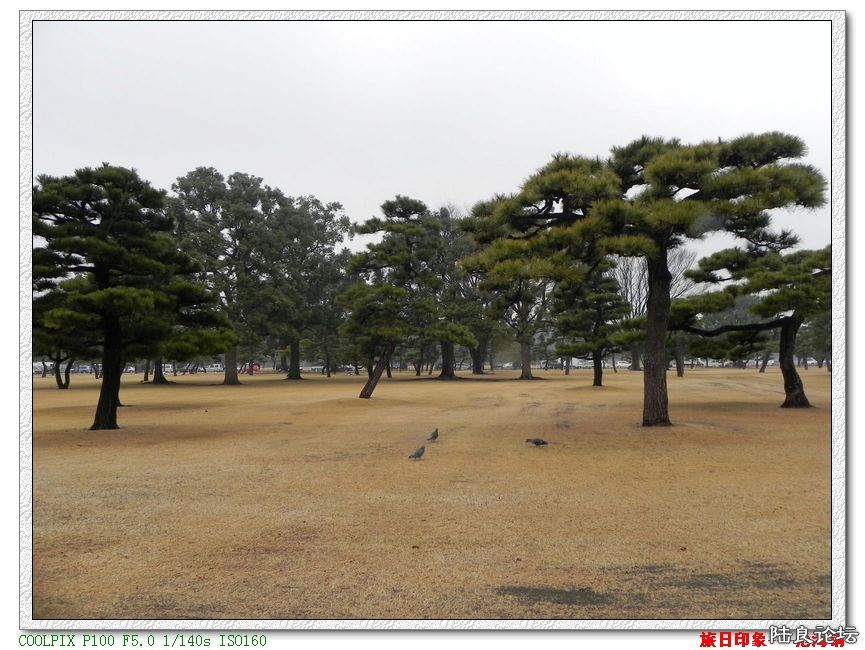 DSCN4024.JPG