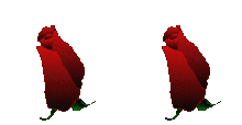 лл.gif