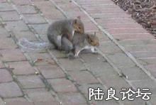 u=3175635254,191951981&fm=52&gp=0.jpg