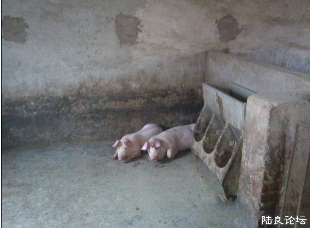 未命名6.jpg 未命名6.jpg