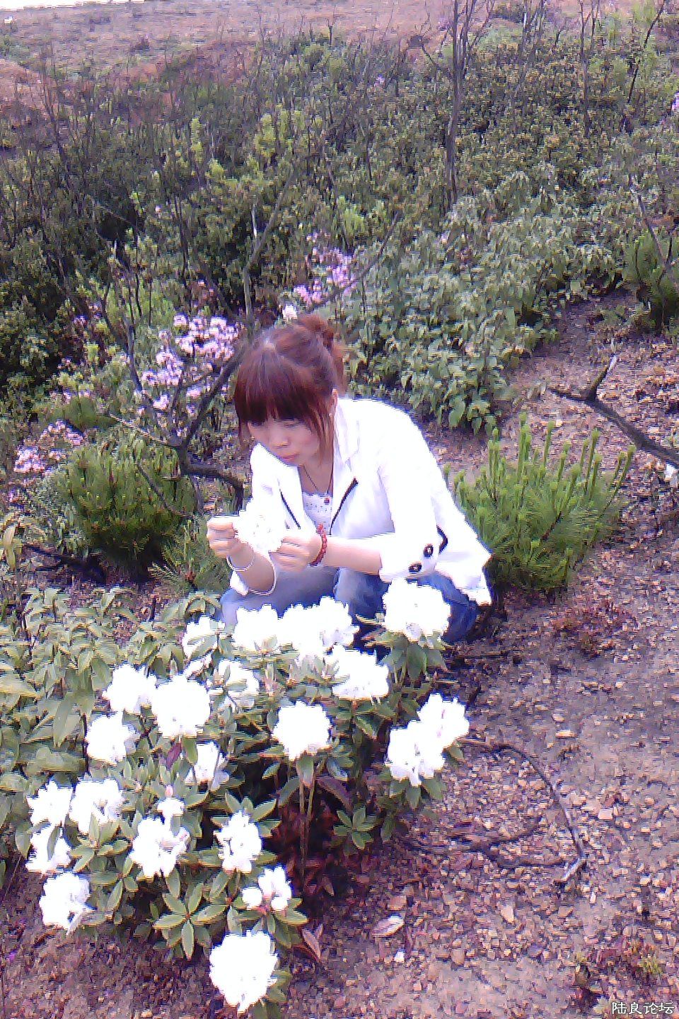 IMG_Ali_00003.jpg