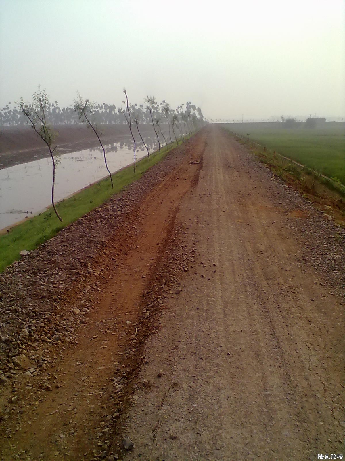 20120805546.jpg
