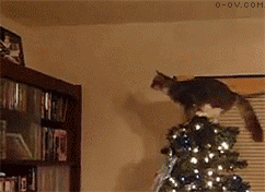 9f510fb30f2442a735713415d143ad4bd1130207.gif