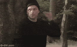 29381f30e924b8999edea9716e061d950b7bf69d.gif