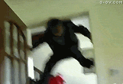 622762d0f703918fa0e92680513d269759eec4bb.gif